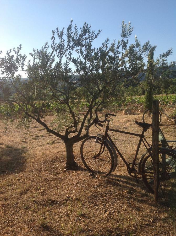 Le Vieux Portail Bed & Breakfast Saint-Saturnin-d'Apt Exterior foto