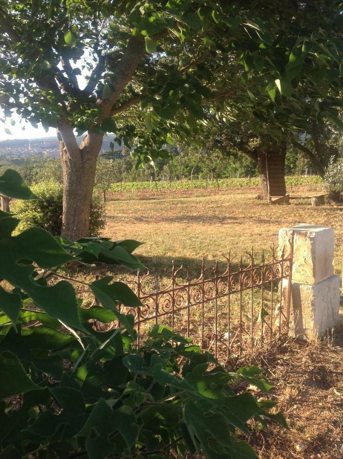 Le Vieux Portail Bed & Breakfast Saint-Saturnin-d'Apt Exterior foto