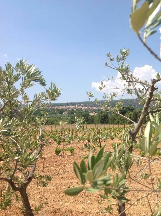 Le Vieux Portail Bed & Breakfast Saint-Saturnin-d'Apt Exterior foto