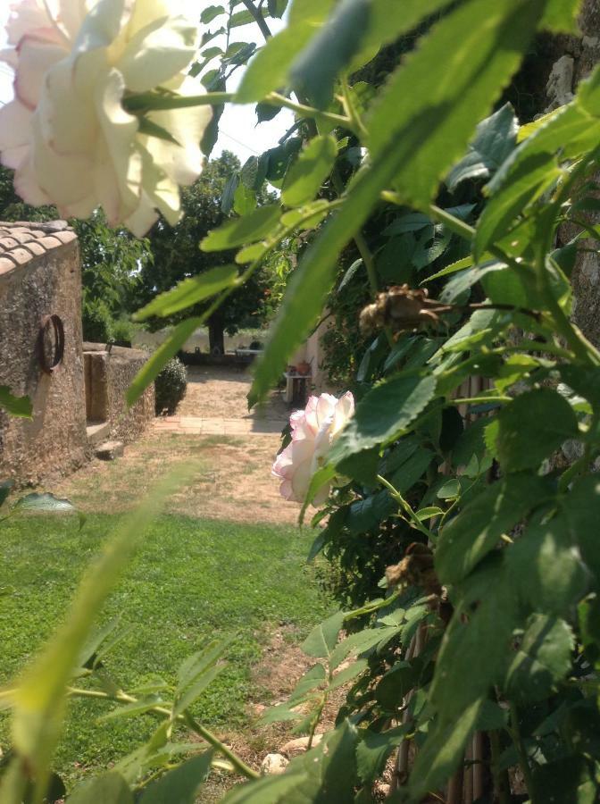 Le Vieux Portail Bed & Breakfast Saint-Saturnin-d'Apt Exterior foto
